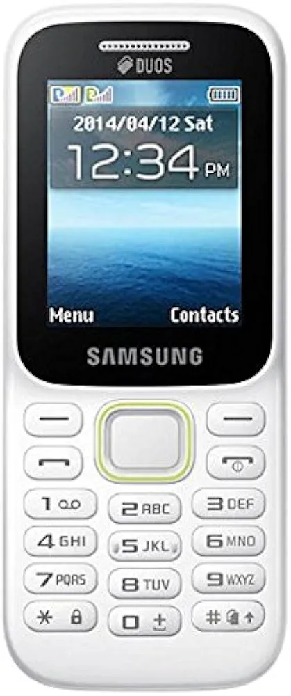 Samsung Guru Music 2 SM-B310E (White)